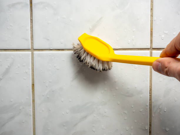 Best Black Mold Remediation in North Weeki Wachee, FL