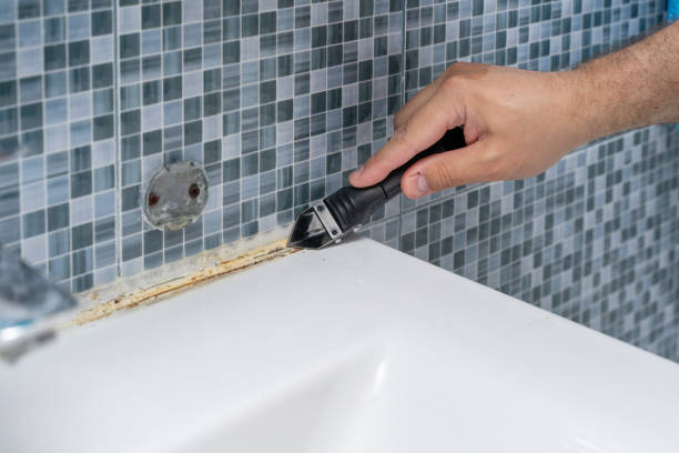 Best Kitchen Mold Remediation in North Weeki Wachee, FL
