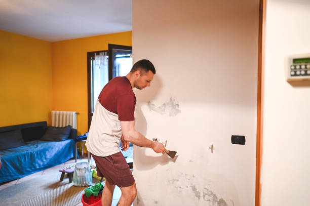 Best Basement Mold Remediation in North Weeki Wachee, FL